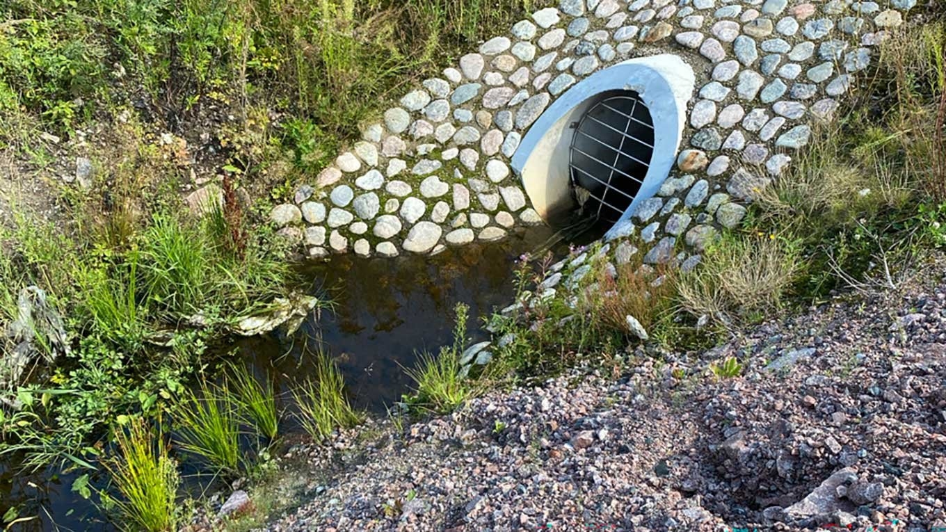 Kaupunkipurot ovat arvokas osa kaupunkiympäristöä