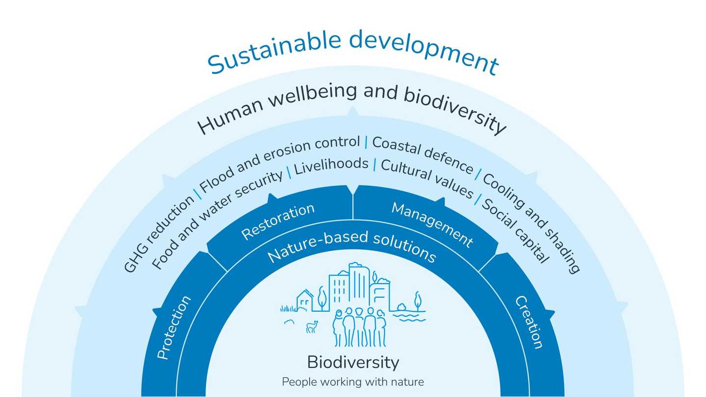 Nature-based solutions