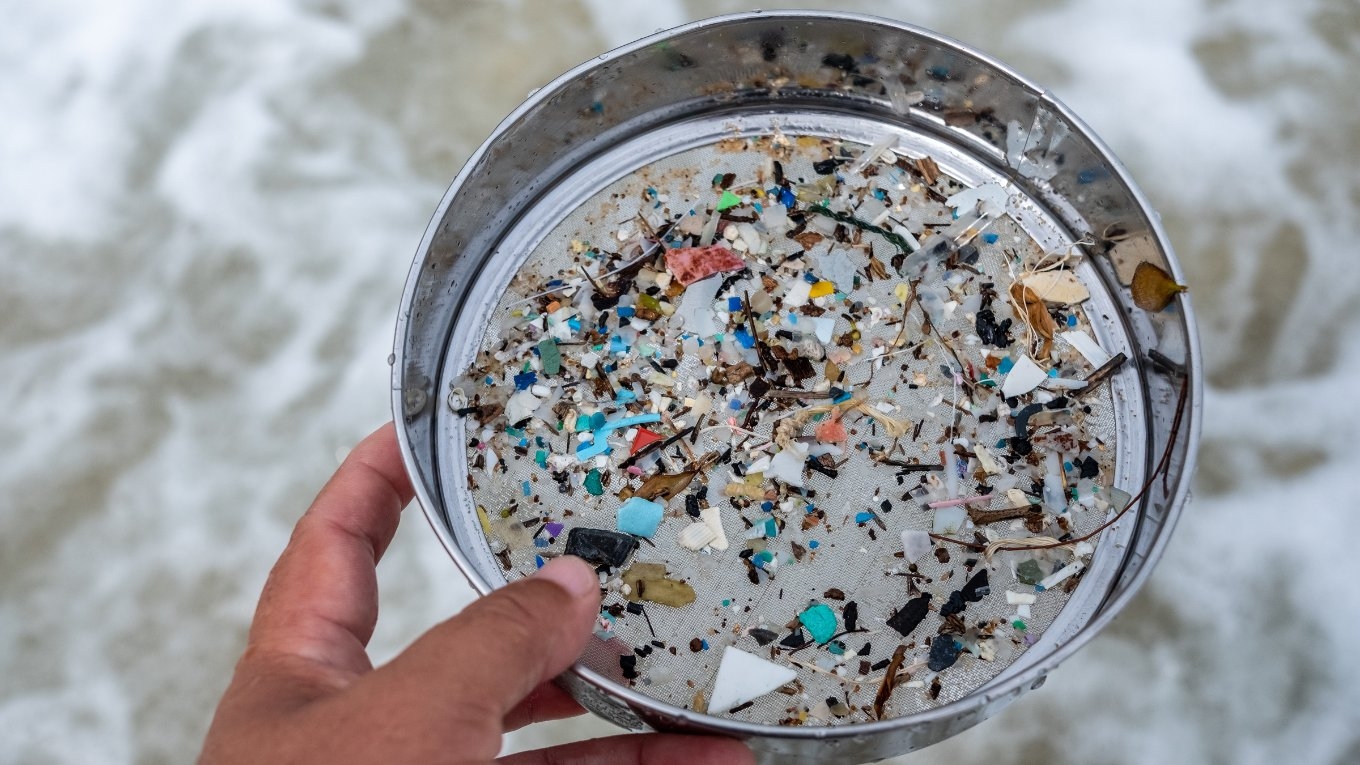 Microplastics, PFAS, and their potential for interaction in the environment